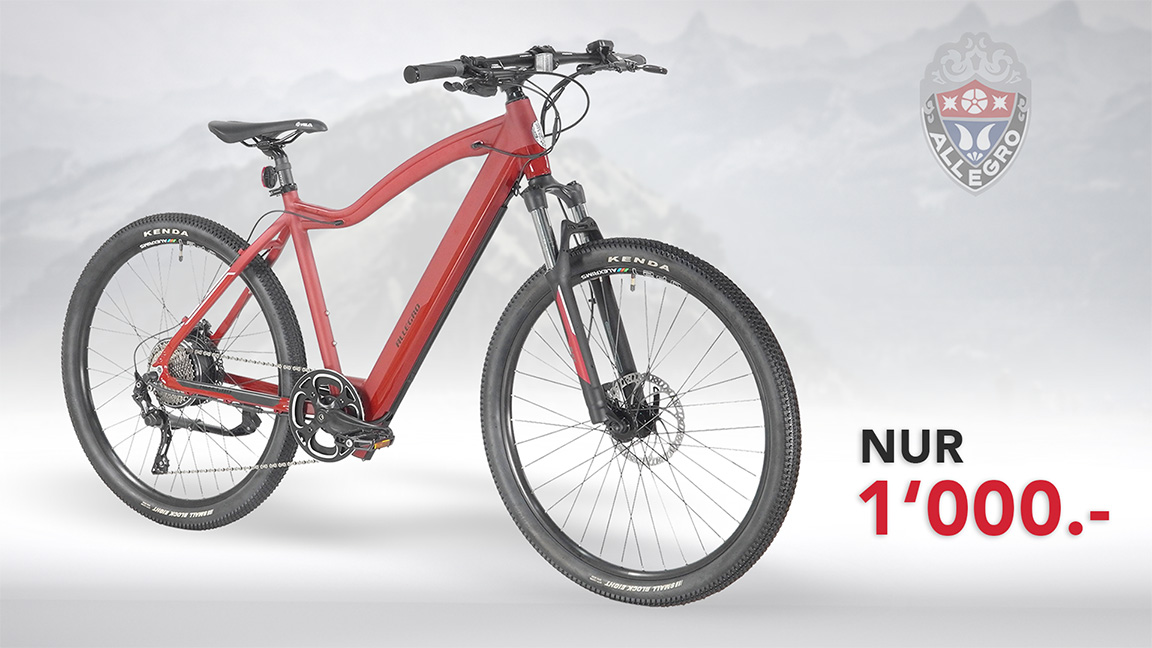 e mountainbike e bike angebot allegro